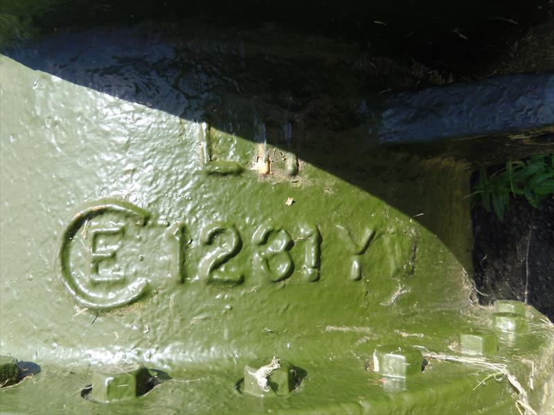 Thumbnail of Photo Number 13297