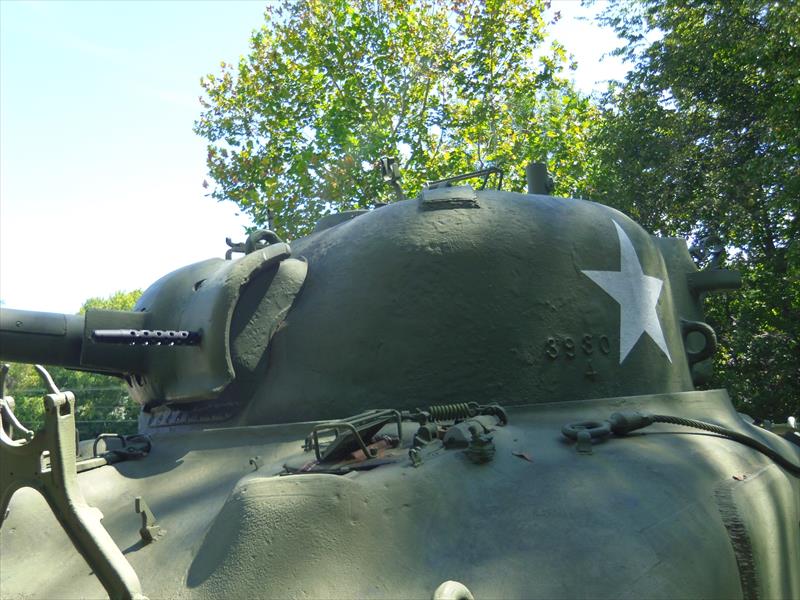 Thumbnail of Photo Number 20005