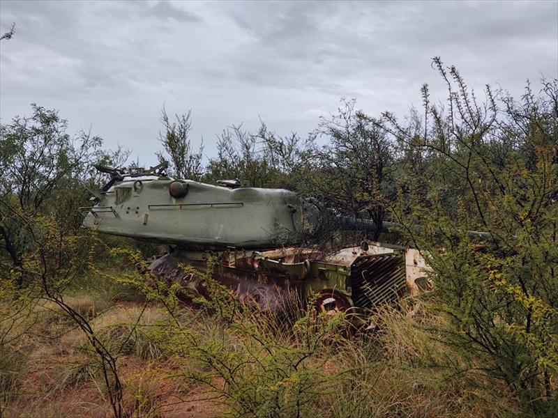 Thumbnail of Photo Number 29300