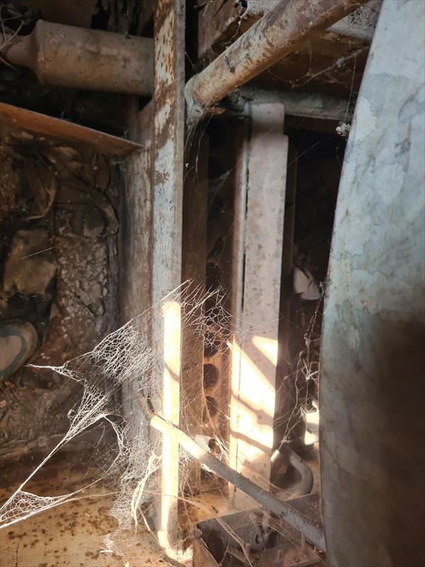 Thumbnail of Photo Number 44269