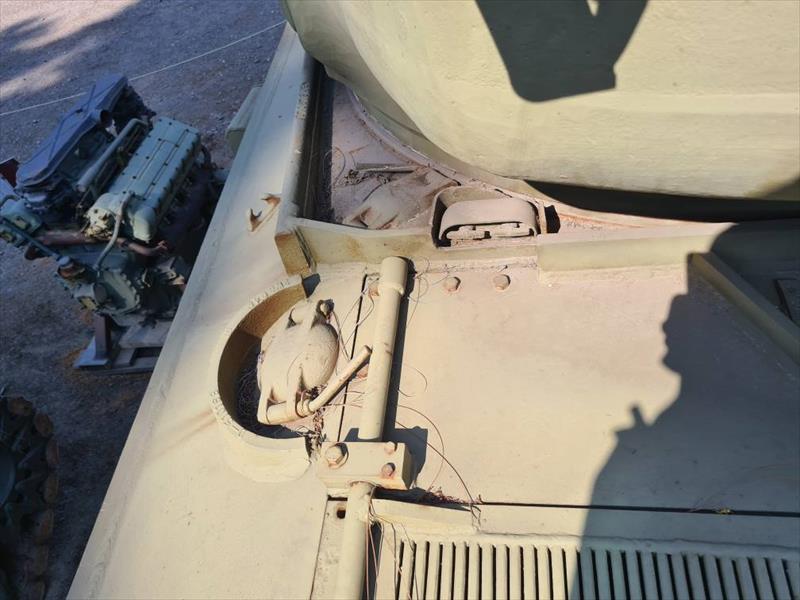 Thumbnail of Photo Number 45721